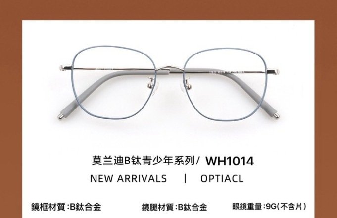 WH1014 莫蘭迪青少年系列 鈦合金眼鏡 WHT Eyewear