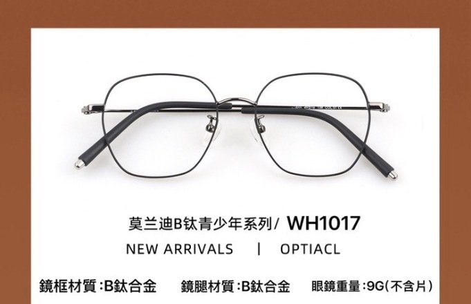 WH1017 莫蘭迪青少年系列 鈦合金眼鏡 WHT Eyewear